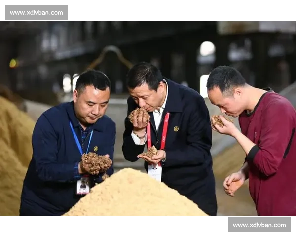 聚焦五粮液品质争霸赛展现匠心酿造魅力共品浓香时代新高度与文化传承 聚焦五粮液品质争霸赛展现匠心酿造魅力共品浓香时代新高度与文化传承